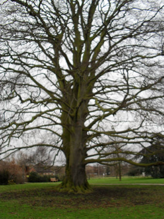 Gloucester 033