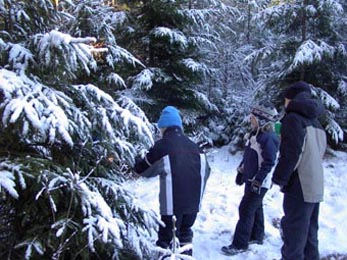 En nyhet var barnens upptåg att ta med tomtebloss som sprakade så fint mot snötyngda grenar